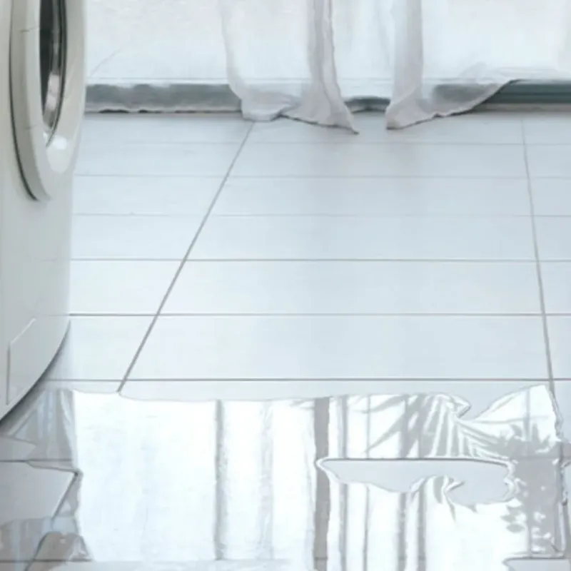 Appliance Leak Cleanup in Danville, CA