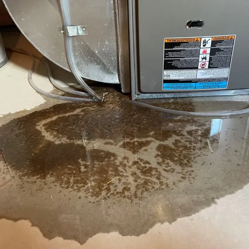 Pipe Burst and Leak Restoration in Danville, CA